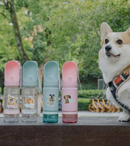 زجاجة للحيوان الأليف