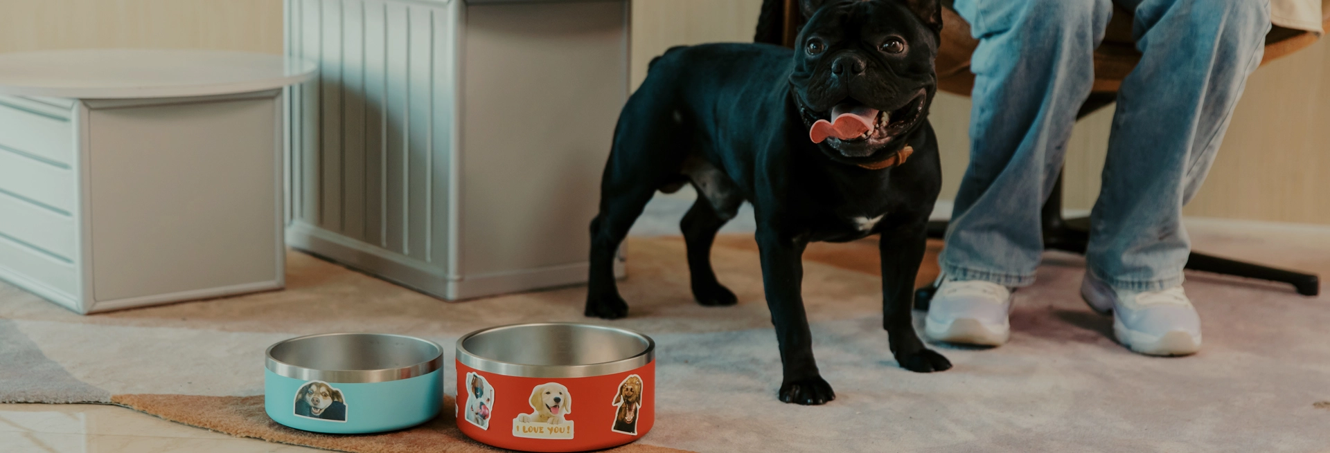 أوعية للحيوانات الأليفة بالجملة بأسعار مباشرة من المصنع