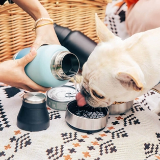 زجاجة شرب للحيوانات الأليفة مع حاوية طعام 22011A